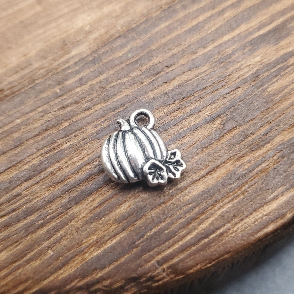 P108 pumpkins‎ in the fall charm